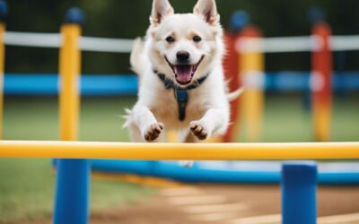 How To Choose The Best Obedience Training Program For Your Dog?