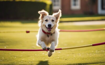 Top Tricks – Teaching Your Dog Impressive And Unique Skills