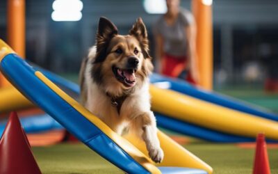 Unleash Your Pup's Potential – Advanced Behavioral Conditioning Techniques