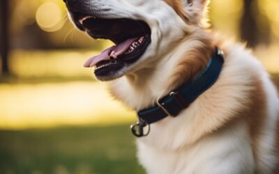 Unleash Your Pooch's Potential – The Science Of Positive Reinforcement